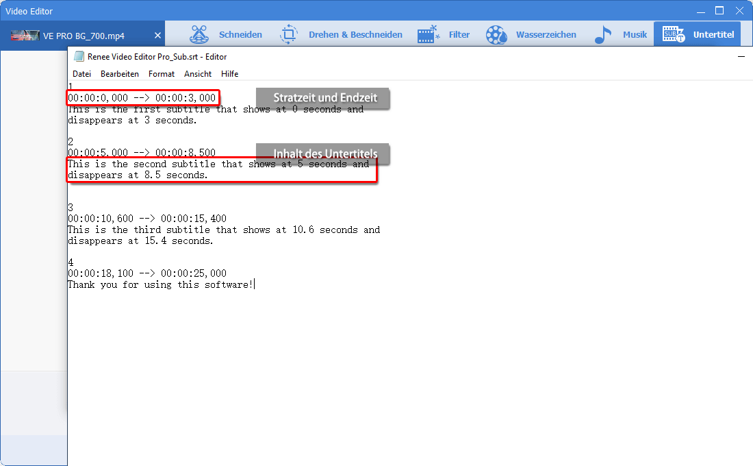 Renee Video Editor Pro Untertitel manuell editieren